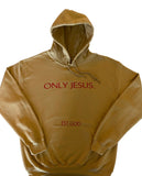 Only Jesus Unisex Hoodie